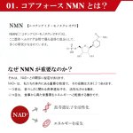 画像4: 国産純度99％のNMNを配合サプリメント コアフォースNMN120粒入（約1-2ヵ月分）  (4)