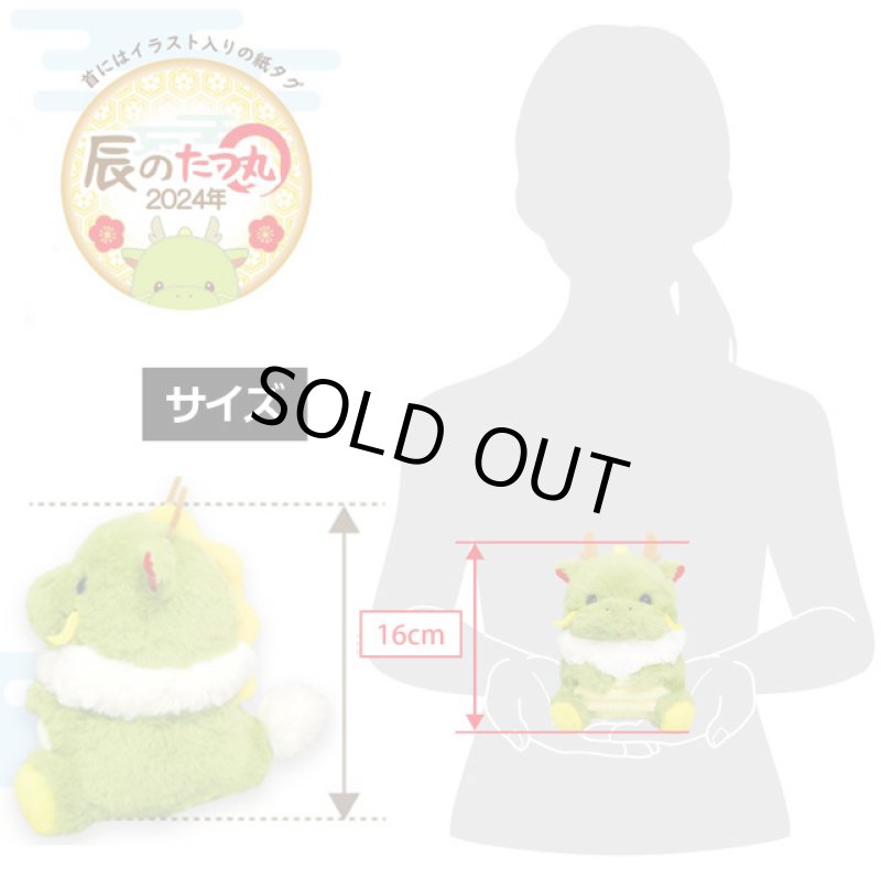 画像7: 2024年干支ぬいぐるみ「辰のたつ丸」 (7)