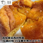 画像1: 高知県芸西村特産「伝統の味 白玉糖半熟カステラ」 (1)