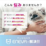 画像2: ENEVA全自動猫トイレ (2)