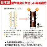 画像5: 光で染まる！自然な仕上がり白髪染め！サンカラーマックス75g[1点] (5)