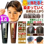 画像1: 光で染まる！自然な仕上がり白髪染め！サンカラーマックス75g[1点] (1)