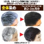 画像4: 光で染まる！自然な仕上がり白髪染め！サンカラーマックス75g[1点] (4)