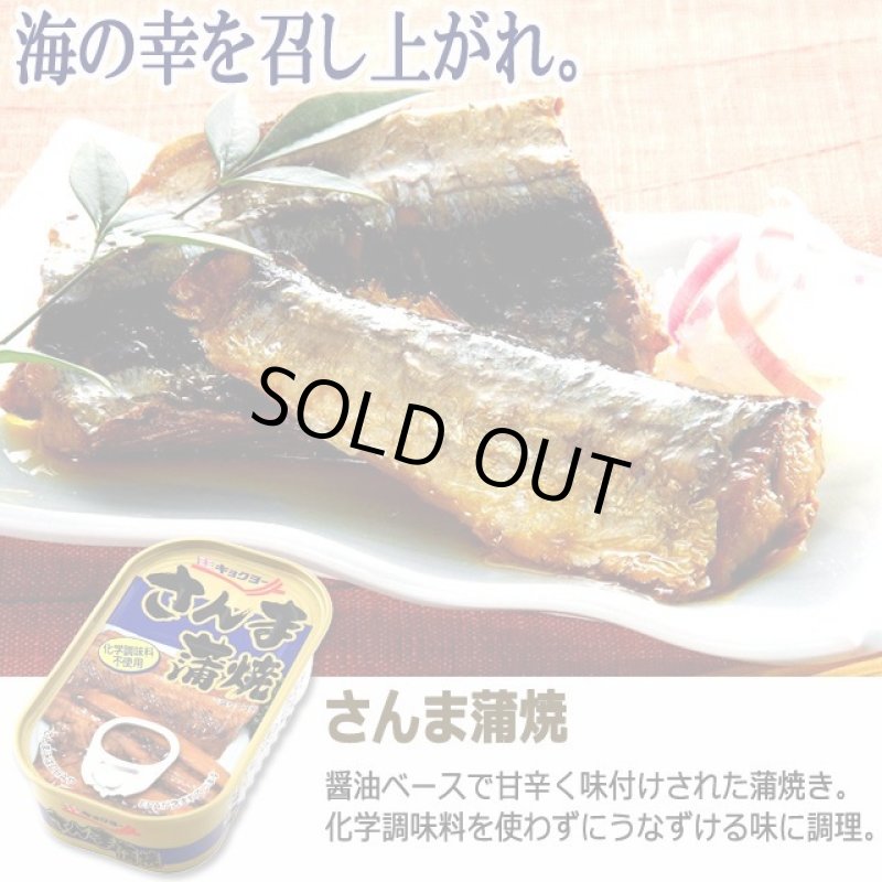 画像5: 毎日のもう一品グルメ!バラエティ7種メニュー 計14缶セット (5)