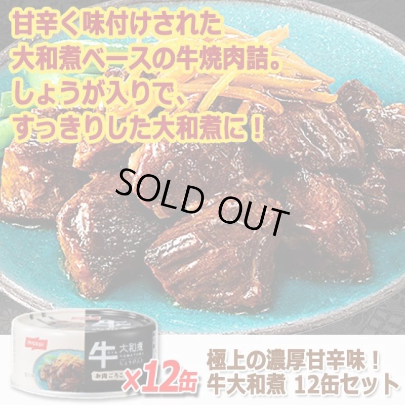 画像4: 極上の濃厚甘辛味!牛大和煮 12缶セット (4)