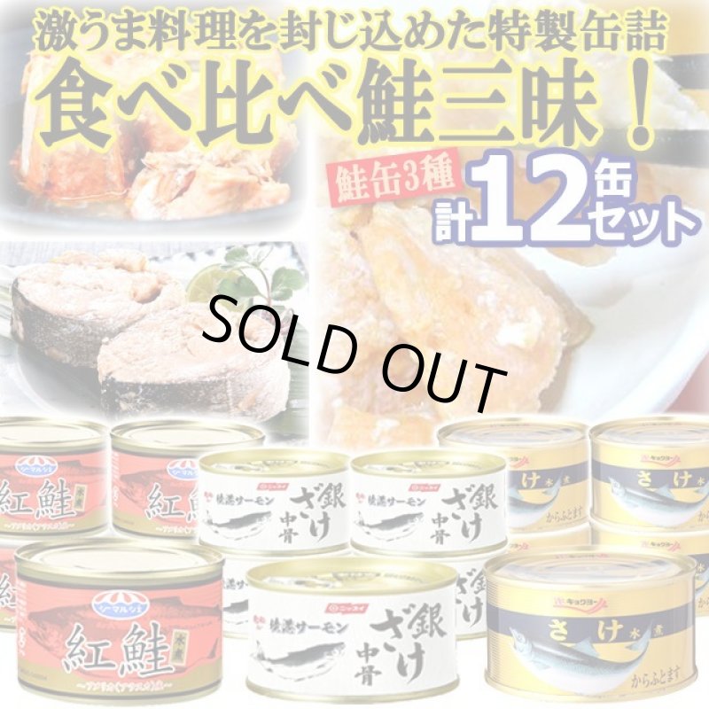 画像1: 食べ比べ鮭三昧！グルメ鮭缶3種 計12缶セット (1)