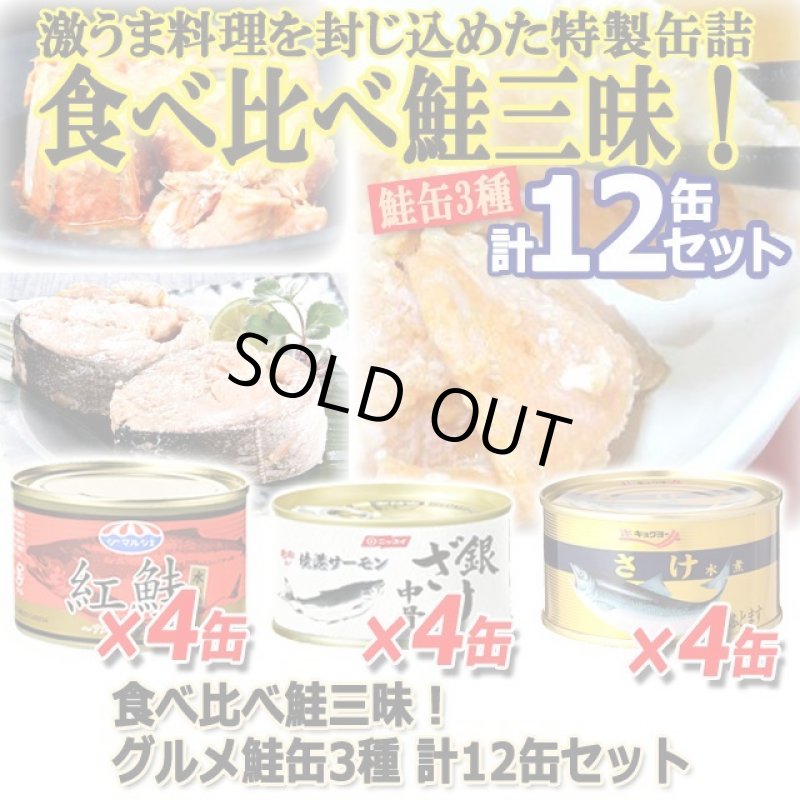 画像6: 食べ比べ鮭三昧！グルメ鮭缶3種 計12缶セット (6)