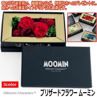 小説 仮面ライダー 豪華BOX」シリーズTX-144