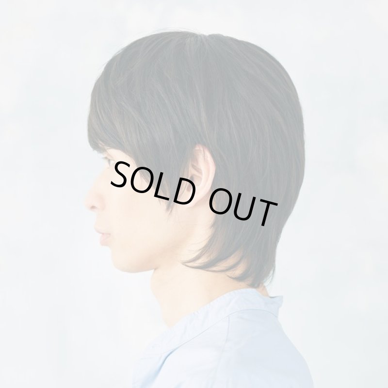 画像2: メンズウィッグ「カームウルフ(ディープブラウン)」 (2)