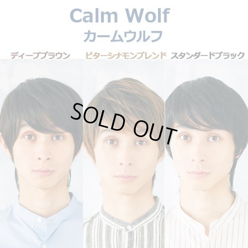 画像6: メンズウィッグ「カームウルフ(ディープブラウン)」 (6)