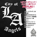 画像2: ACEFLAG[エースフラッグ]9.7オンスLAトレーナー (2)