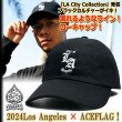 ACEFLAG[エースフラッグ]2D刺繍LAカーブキャップ