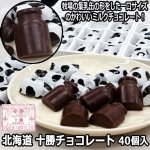 画像1: 北海道十勝チョコレート40個入 (1)