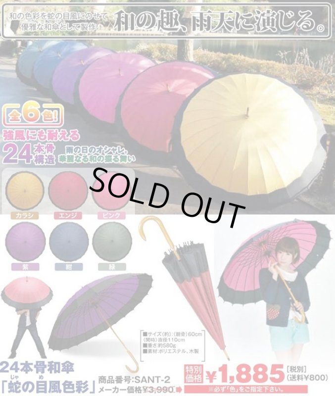 画像4: 24本骨和傘「蛇の目風色彩」 (4)