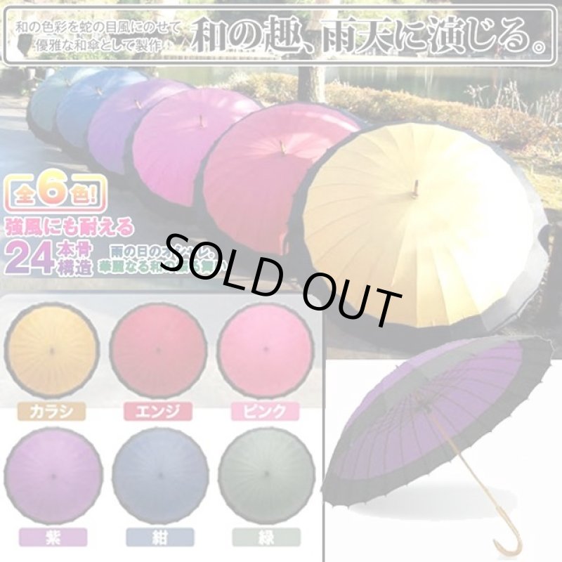 画像1: 24本骨和傘「蛇の目風色彩」 (1)