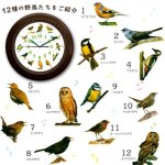 画像8: 臨場感ある12種の野鳥のさえずりで時刻をお知らせ！野鳥の電波時計 (8)