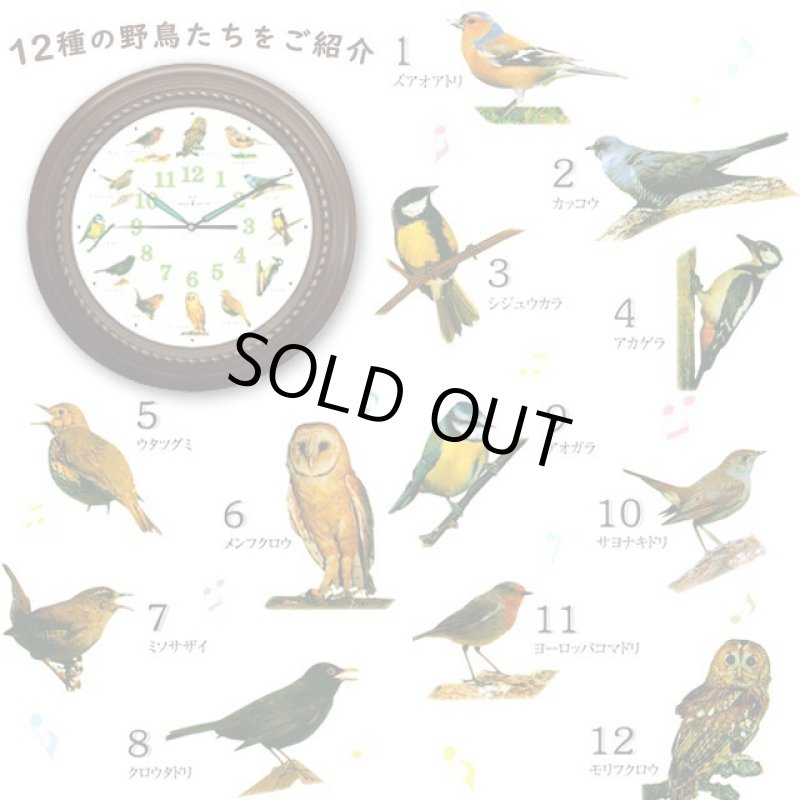 画像8: 臨場感ある12種の野鳥のさえずりで時刻をお知らせ！野鳥の電波時計 (8)