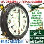 画像9: 臨場感ある12種の野鳥のさえずりで時刻をお知らせ！野鳥の電波時計 (9)
