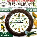 画像1: 臨場感ある12種の野鳥のさえずりで時刻をお知らせ！野鳥の電波時計 (1)