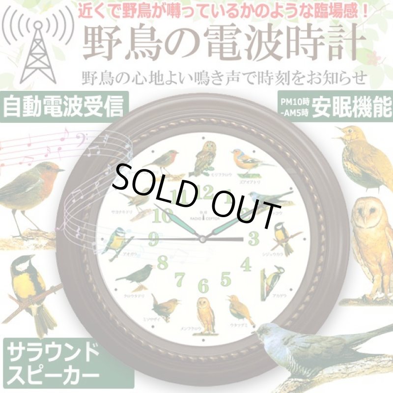 画像1: 臨場感ある12種の野鳥のさえずりで時刻をお知らせ！野鳥の電波時計 (1)