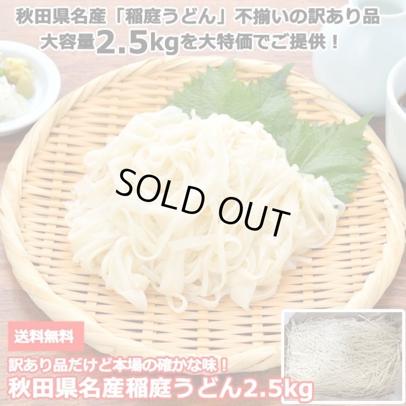 画像1: 送料無料！訳あり品だけど本場の確かな味！秋田県名産稲庭うどん2.5kg (1)