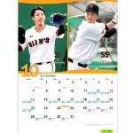 画像6: 2024年3月-2025年2月ジャイアンツスケジュールカレンダー[プロ野球セ・パ公式戦全日程掲載版] (6)