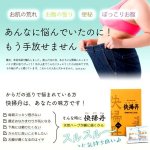 画像3: 送料無料！24種類のハーブでお腹のリズムを整える！快掃丹（2箱・計60包入） (3)