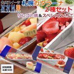 画像1: 名店スイーツみれい菓「札幌カタラーナ２種セット（ スペシャルいちご・リンゴと桃）」 (1)