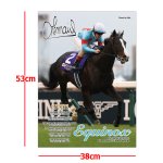画像4: 「イクイノックス」６冠記念Ver.ジグソーパズル500ピース（ジャパンカップ） (4)