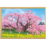 画像6: ジグソー日本の風景「三春の滝桜」フレームセット（1000P） (6)