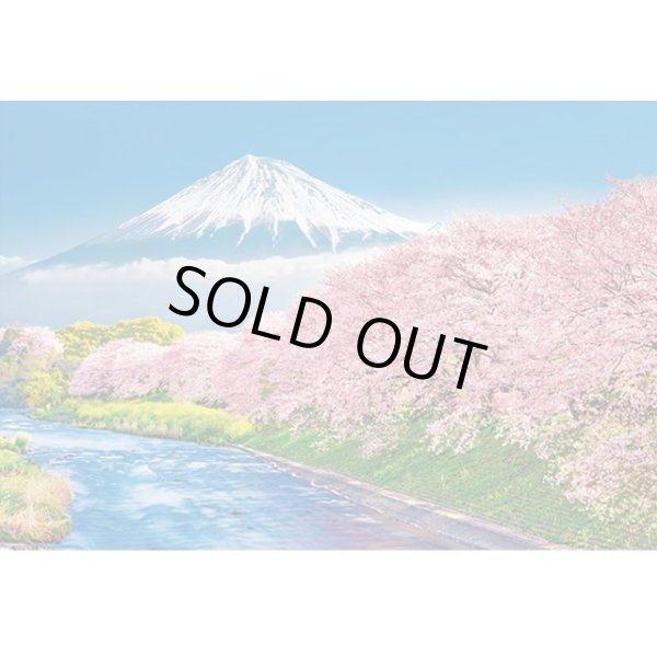 ジグソー日本の風景「富士と潤井川の桜並木」フレームセット