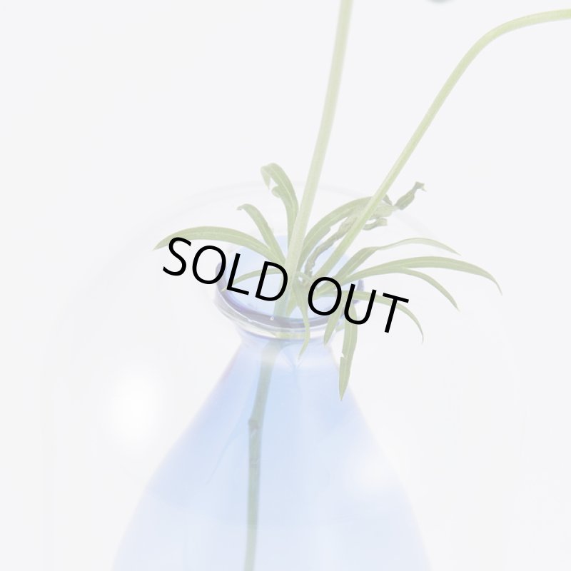 画像7: 透明感が美しい「カラーガラスのフラワーベース」 (7)