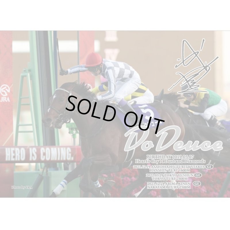 画像5: 「ドウデュース」（2023年有馬記念）ジグソーパズル500ピース (5)