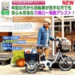 画像1: 安定＆安全！らくらくロータイプ電動アシスト三輪自転車「アシらくプティット」 (1)