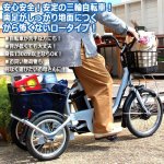 画像9: 安定＆安全！らくらくロータイプ電動アシスト三輪自転車「アシらくプティット」 (9)