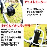 画像5: 安定＆安全！らくらくロータイプ電動アシスト三輪自転車「アシらくプティット」 (5)