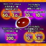 画像3: 送料無料！機能性表示食品 MEGAルテイン60（大容量計360カプセル）[3点] (3)