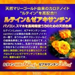 画像4: 送料無料！機能性表示食品 MEGAルテイン60（大容量計360カプセル）[3点] (4)