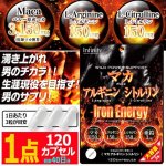 画像1: 健康食品GMP認証 ワイルドパワーサポート マカ×アルギニン×シトルリン（大容量120カプセル）[1点] (1)