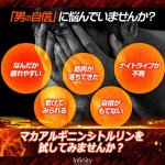 画像3: 健康食品GMP認証 ワイルドパワーサポート マカ×アルギニン×シトルリン（大容量120カプセル）[1点] (3)