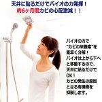 画像3: 送料無料！天井に貼るだけでカビを撃退！バイオくん（お風呂用）[2点] (3)