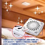 画像5: 送料無料！天井に貼るだけでカビを撃退！バイオくん（押入れ・クローゼット用）[2点] (5)