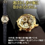 画像8: 世界限定2000本！Homberger[オムバーガー]ダイヤモンドギアスケルトン (8)