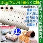 画像1: 100mTフェライト磁石12個配列！医療機器承認磁気枕[1点] (1)