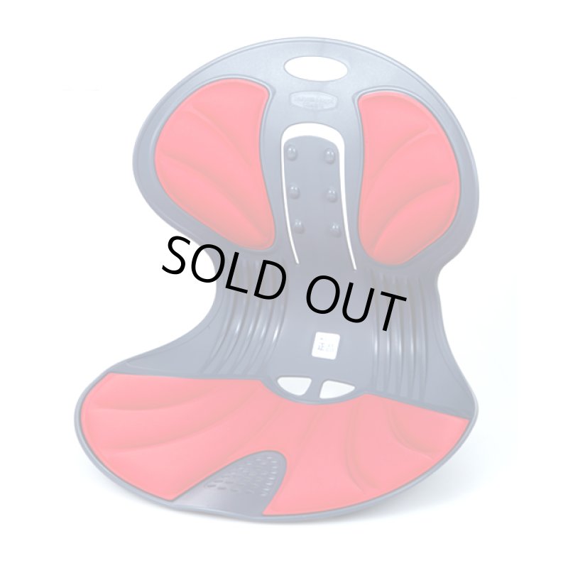 画像11: 送料無料!座るだけで正しい姿勢をサポート!天使の椅子 (11)