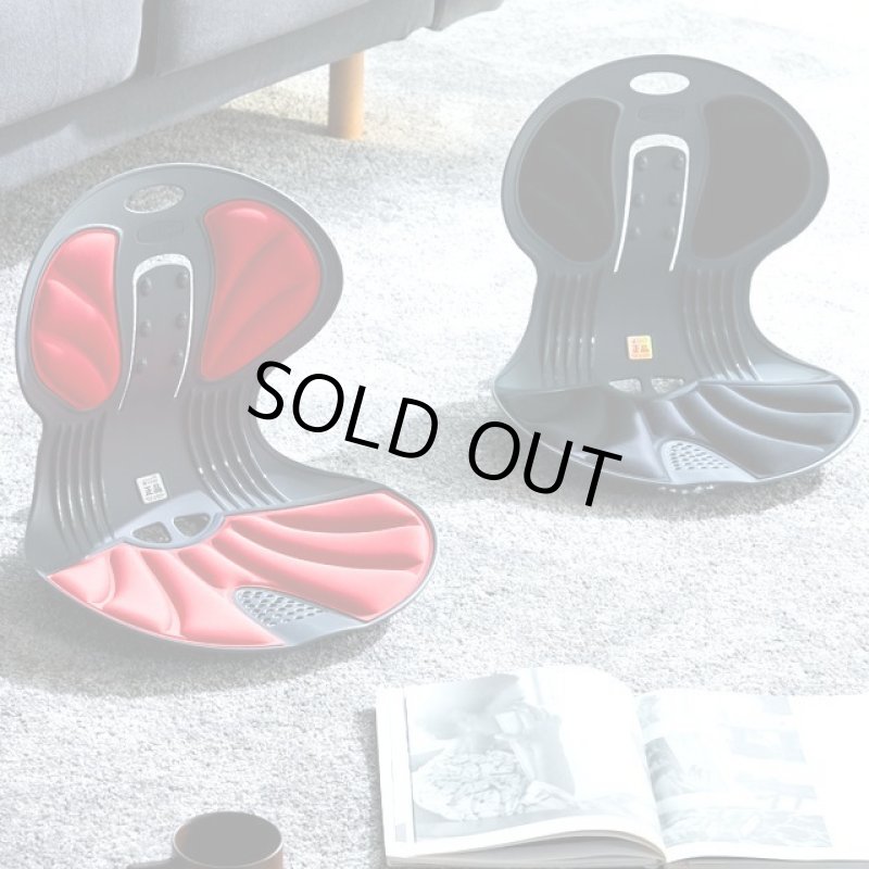 画像10: 送料無料!座るだけで正しい姿勢をサポート!天使の椅子 (10)