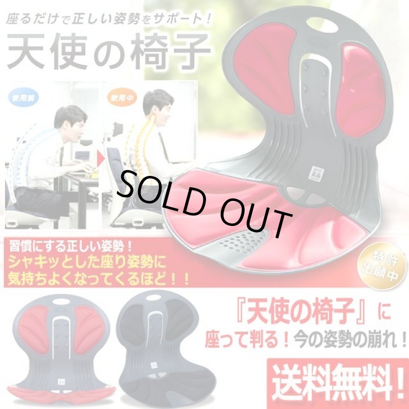 画像1: 送料無料!座るだけで正しい姿勢をサポート!天使の椅子 (1)