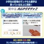 画像3: 送料無料！接触冷感×ハニカムクッションで夏対策ランドセル！ひんやりサラッとランドセルパッド[2点] (3)