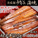 画像1: 浜松 浜名湖うなぎ蒲焼 2人前 長焼き 超大判 210g×2 (1)