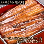 画像10: 浜松 浜名湖うなぎ蒲焼 2人前 長焼き 超大判 210g×2 (10)